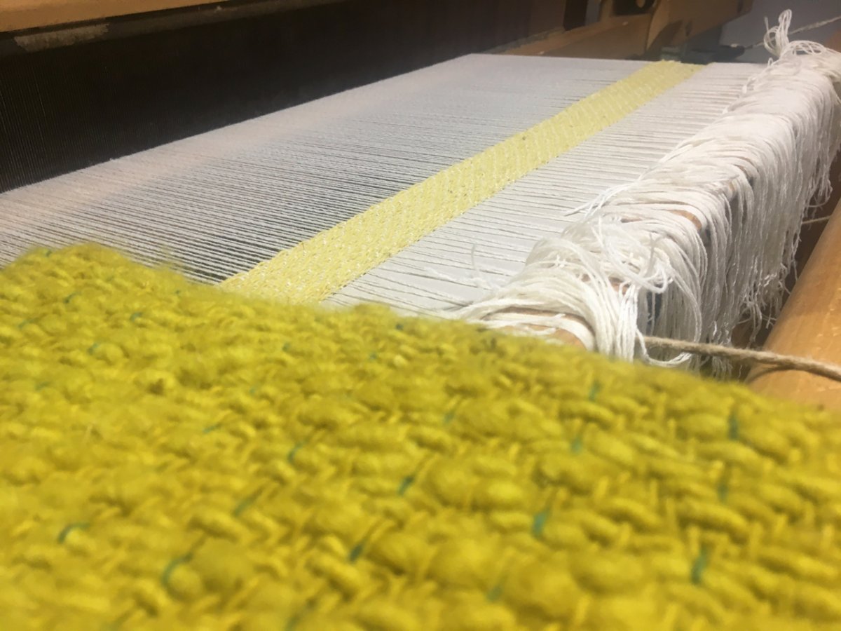 Teinture végétale au Solidage