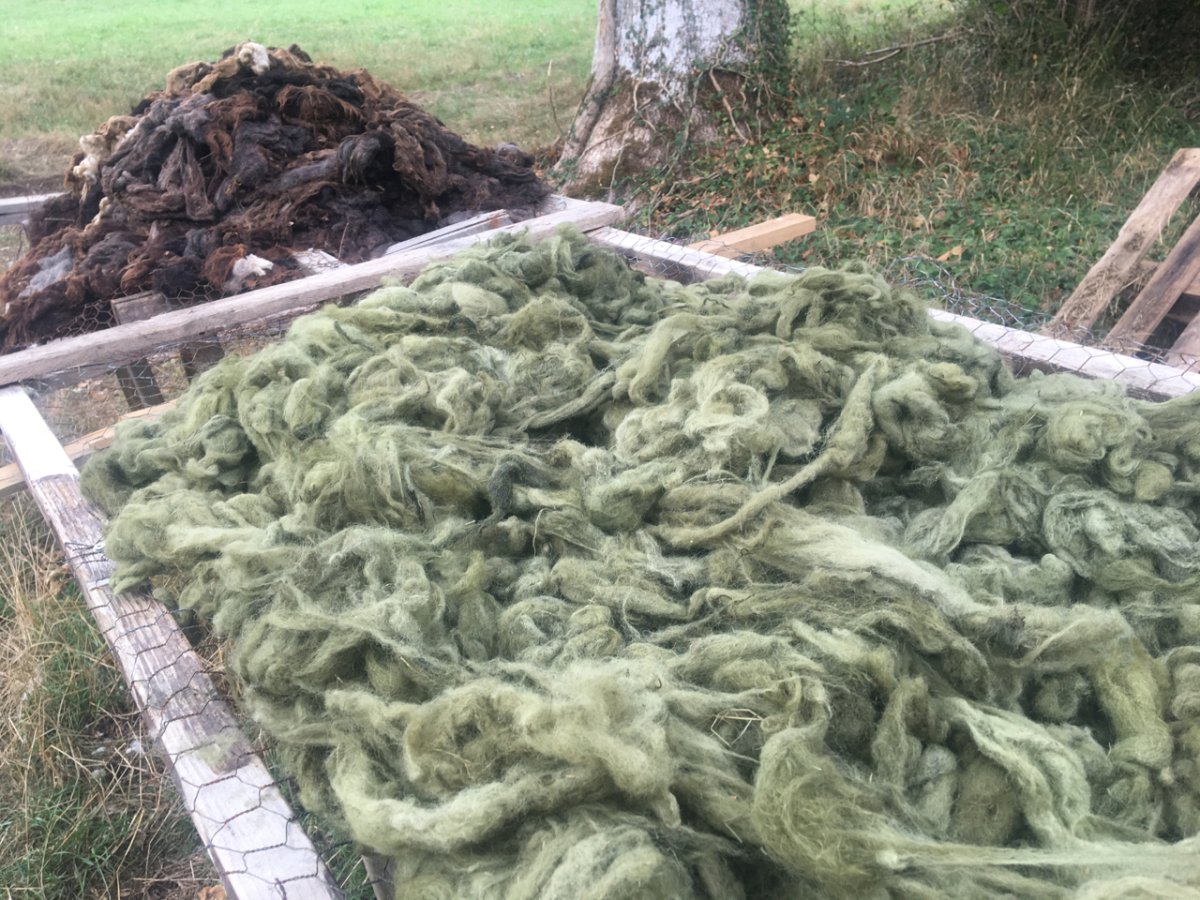 3ème cuve avec un ajout de fer pour obtenir un vert grisé